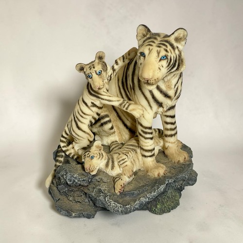 White tigers and cubs david - white,