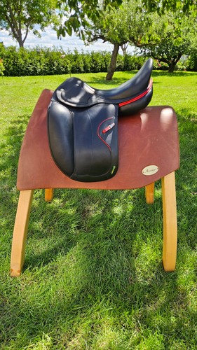 Amerigo dressage pasubio - amerigo,