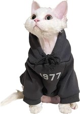 Cat Clothes, Cat Winter