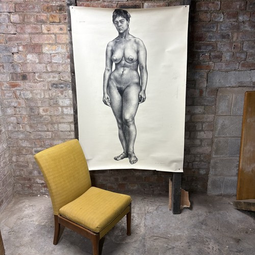 Huge academic female nude - academic,