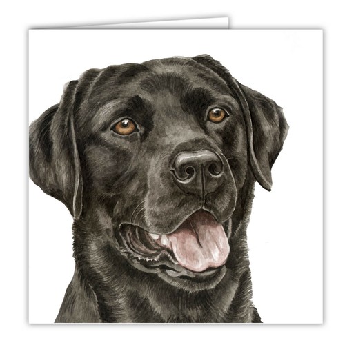 Black labrador greetings card - labrador,