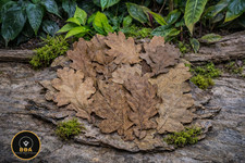 12 Х Oak Leaves 8–12cm –