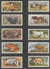 BRITISH WILD LIFE - A COMPLETE BROOKE BOND 1958 SET OF TRADE CARDS - G - VG