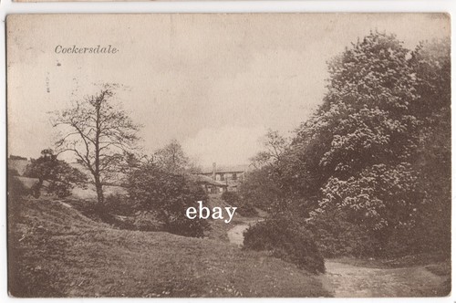 1906 postcard cockersdale - 1906, postcard,