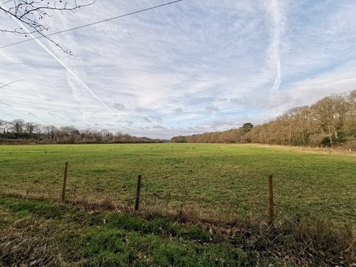 Photo 6x4 field next the - photo, to