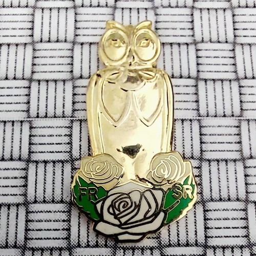 Yorkshire owl sheffield - yorkshire,