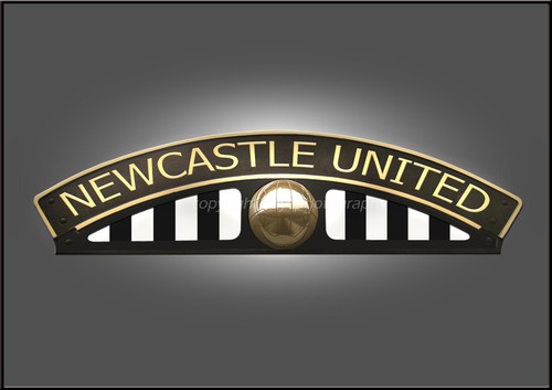 Newcastle united football - newcastle,