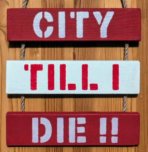Stoke city inspired - fc,