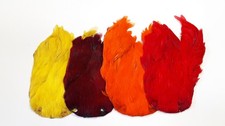 Hen Capes Dyed - 4 pack - Fly Tying Capes and Feathers (PK 31)