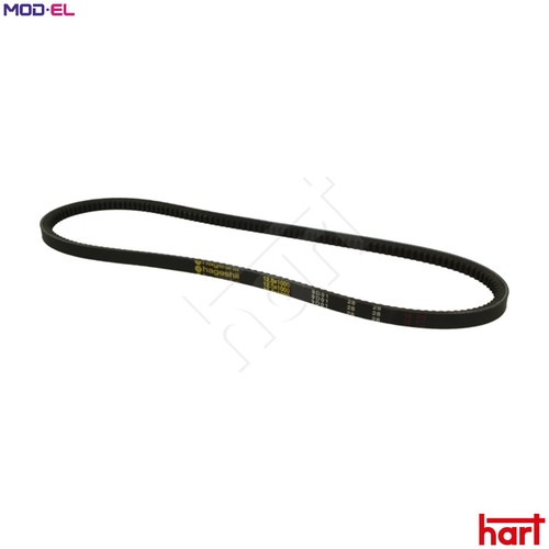 Vbelt 305 613 - vbelt,