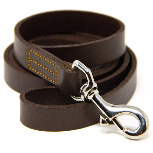 Pet dog leash heavy - heavy, duty