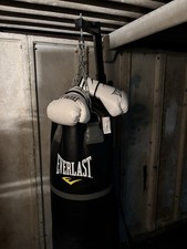 Everlast 40kg Leather Punching