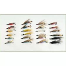 24 Salmon or Sea Trout