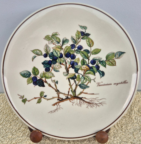 Beautiful 21cm villeroy boch - 21cm,