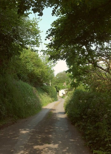 Photo 6x4 pitt cottage - 6x4,