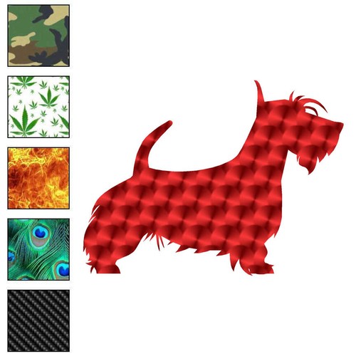 Scottie scottish terrier - scottish,