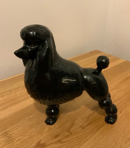 Black standard poodle - black,