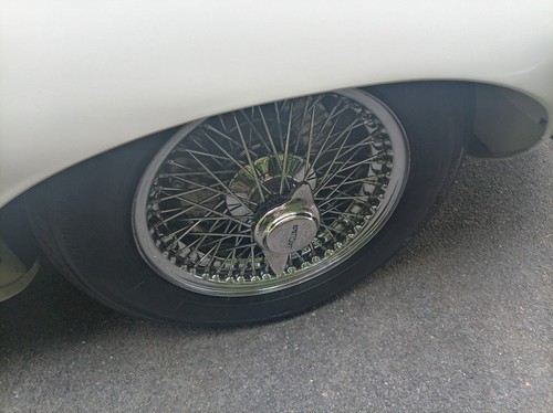 Jaguar type series - 4,