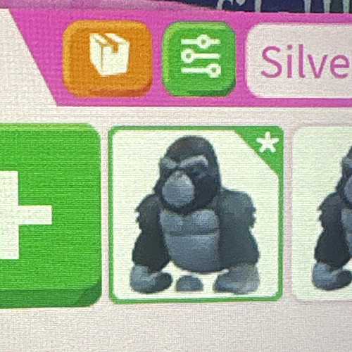 Silverback gorilla adopt - silverback,