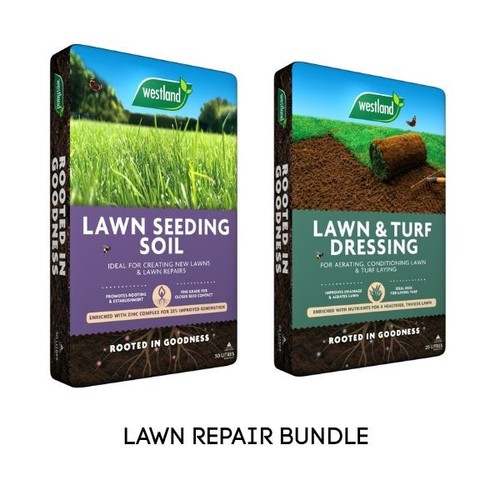Westland lawn seeding - lawn,