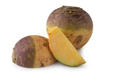 Vegetable Plants - Swede