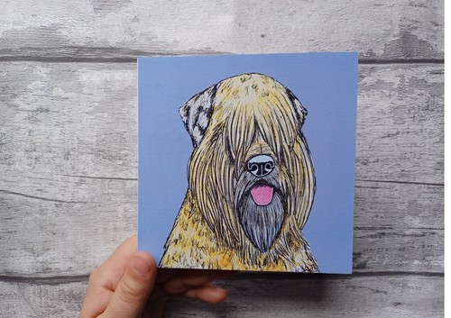 Soft coated wheaten terrier - soft,