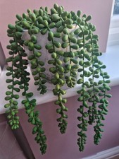 String of Pearls Faux Plant in