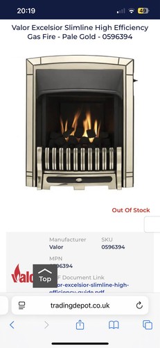 Valor excelsior pale gold - pale,