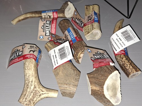 Huntleys dog antler natural - huntleys,