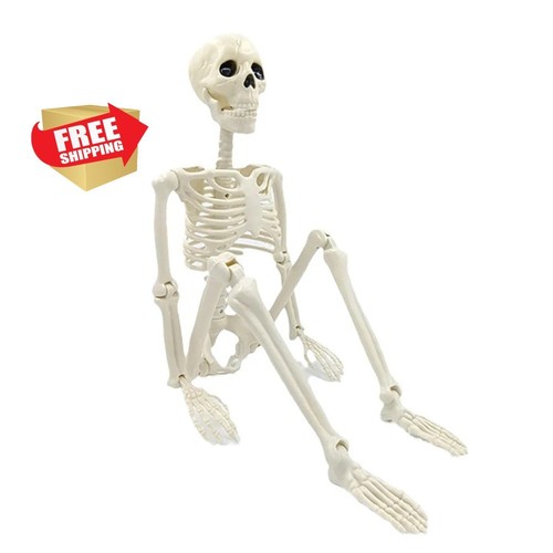 Halloween skeleton decoration - halloween,
