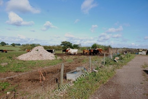 Photo 6x4 the - 6x4,