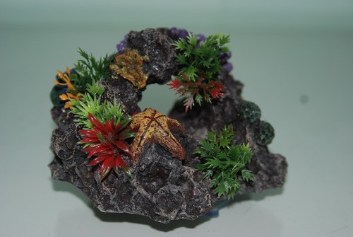Aquarium reef rock - rock, &