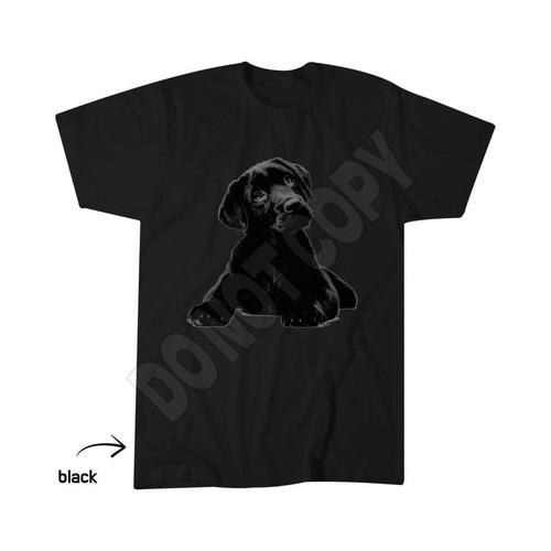 Labrador retriever puppy - retriever,