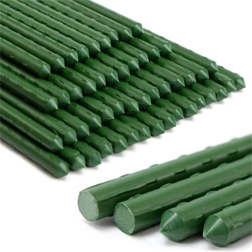 200 green garden plant - 20-200,
