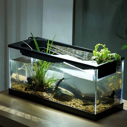 Small fish tank aquarium - tank,