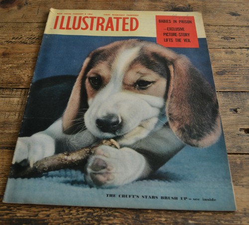 Vintage magazine illustrated - magazine,