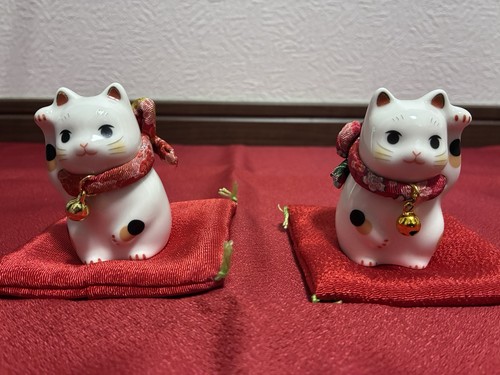 Tiny cat lucky - tiny,