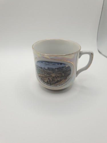 Greiner herda lustree cup - greiner,