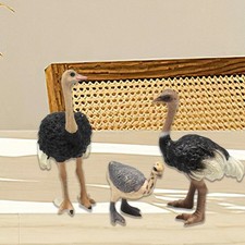 3 Pieces Animal Bird Figure Ostrich Set Collectible for Desk Coffee Table
