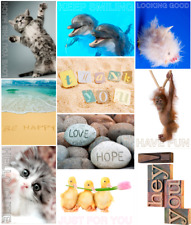 20 Chin Up postcards