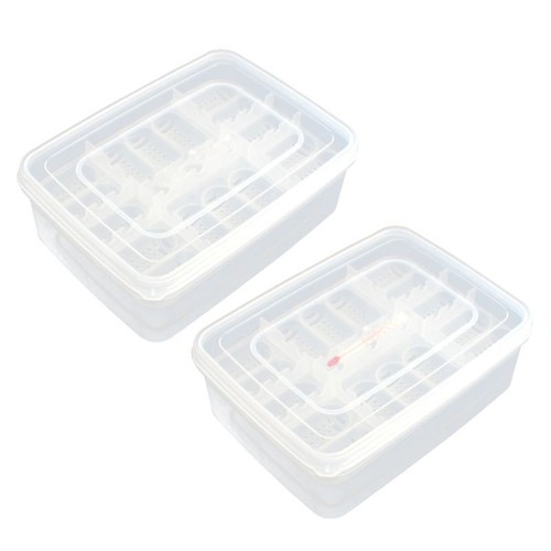 Grids reptile eggs - grids,