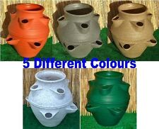 Large Garden Planter Flower Pot Patio Tub Strawberry 5 Colours New
