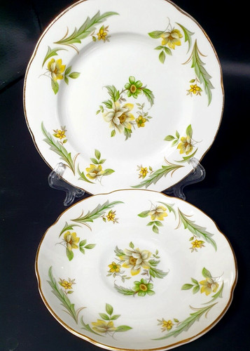 Royal grafton bone - royal,