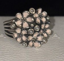 Authentic Pandora Cherry
