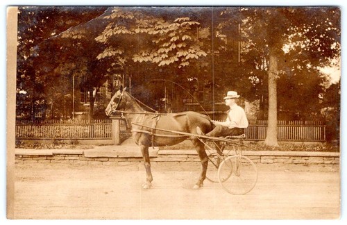1910 rppc man horse sulky - 1910-20's,