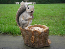 Squirrel Log Feeder Bird