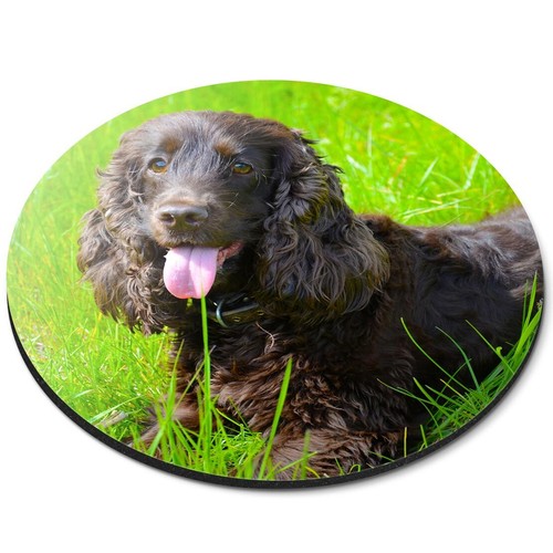 Round mouse mat - mat, irish
