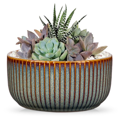 Indoor ceramic plant - indoor, with