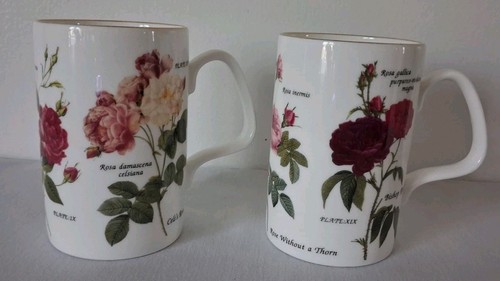 Staffordshire vintage bone - staffordshire,