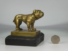 Antique 1930s Polished Bronze Brass Bulldog Car Mascot Radiator Hood Ornament.